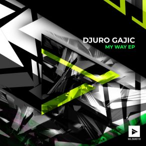 Download track Hallucination Djuro Gajic