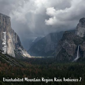 Download track Uninhabited Mountain Region Rain Ambience, Pt. 5 Steve Brassel