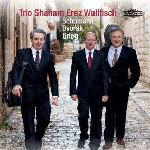 Download track Piano Trio No. 1 In D Minor, Op. 63 IV. Mit Feuer Trio Shaham Erez Wallfisch