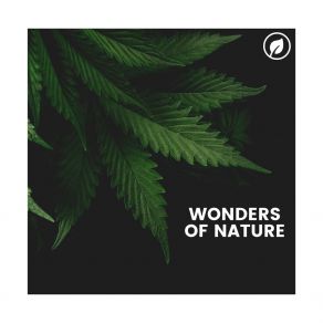 Download track Favourite Part Of Home Nature Soundscapes