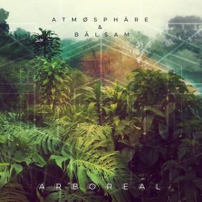 Download track Forgotten Forest Atmosphare