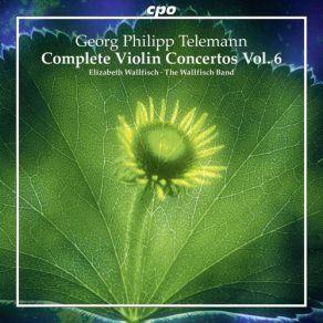 Download track Overture-Suite In F Major, TWV 55: F13: IV. Allemande Elizabeth Wallfisch, Wallfisch Band