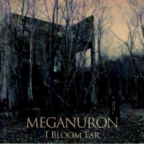 Download track I Bloom Far Meganuron