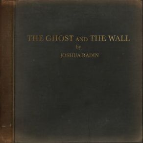 Download track Till The Morning Joshua Radin