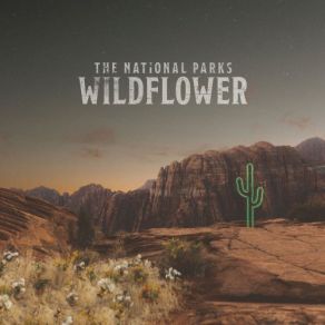 Download track Many Moons The National Parks