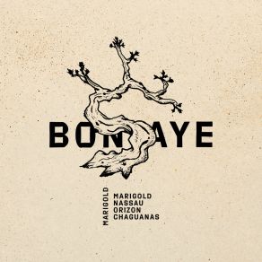 Download track Orizon Bonsaye