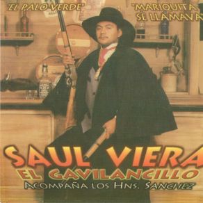 Download track Fernando Leyva Saul El Gavilancillo Viera