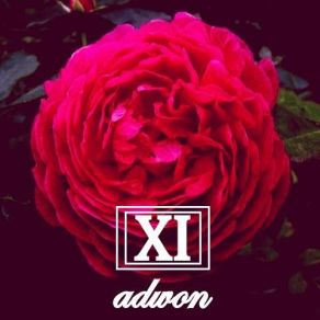 Download track Intro Adwon