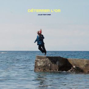 Download track Le Chant Des Oiseaux Bleus Jules Teinturier