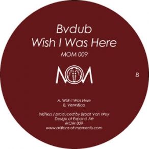 Download track Wish I Was Here Bvdub