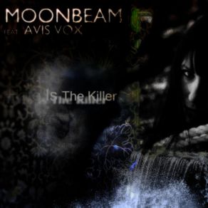 Download track Hate Is The Killer (Original Mix) Moonbeam, Avis Vox