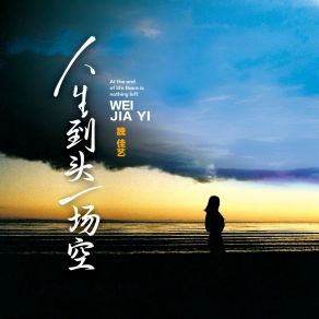 Download track 人生到头一场空 魏佳艺