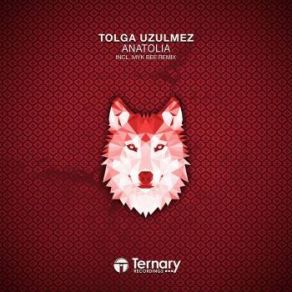 Download track Anatolia (Original Mix) Tolga Uzulmez