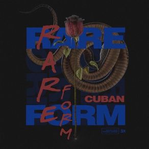 Download track Pain Cuban