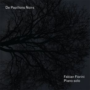 Download track Des Envols, Ombres Silencieuses Fabian Fiorini