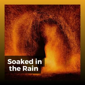 Download track Lockdown Rain, Pt. 16 The Sound Of The Rain