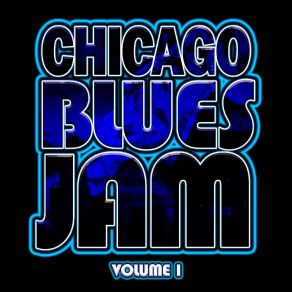 Download track Fuss And Fight Chicago Blues Jam