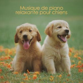 Download track Musique De Fond Instrumentale RW Musique Pour Chien Bien-Aimé