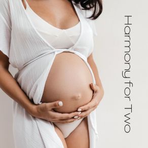 Download track Harmony Of Senses Pregnant Women Music CompanyCalm Music Zone, Mother To Be Music Academy