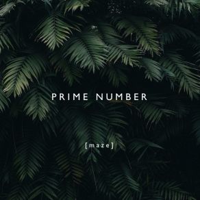 Download track Why Why Why Prime Number