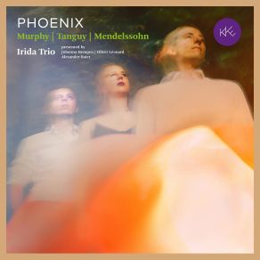 Download track Piano Trio (Comp. 2012): Trio In One Movement Irida Trio