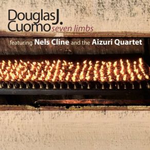 Download track Prostration, Pt. Ii' Nels Cline, Douglas J. Cuomo, Aizuri Quartet