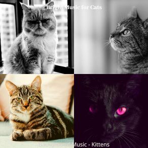 Download track Kittens - Dreams Bright Music For Cats