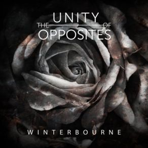 Download track Nothing Wrong (Bonus Track) The Unity Of Opposites