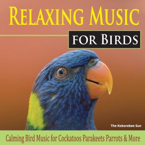 Download track Big Bird Ballet The Kokorebee Sun