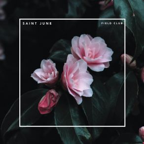 Download track Saint June Field Club