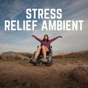 Download track Stress Relief Music, Pt. 17 Anti Stress