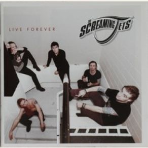 Download track Helping Hand The Screaming Jets