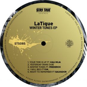 Download track Winter Tones LatiqueFrederick