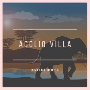 Download track Keenness Acolio Villa