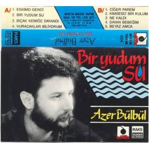 Download track Vuracaklar Biliyorum Azer Bülbül