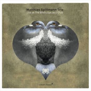 Download track Una Muy Bonita Matthias Spillmann Trio