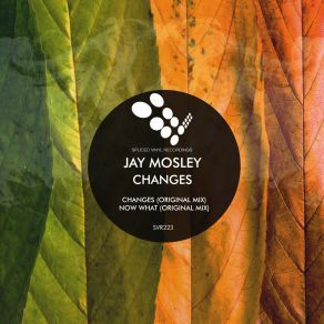 Download track Changes (Original Mix) Jay Mosley