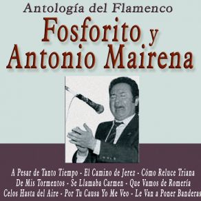 Download track La Tierra Con Ser La Tierra FosforitoAntonio Mairena