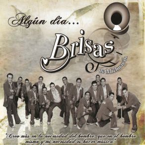 Download track Pichatarito Banda Brisas De Michoacán