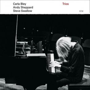 Download track Wildlife Steve Swallow, Carla Bley, Andy Sheppard