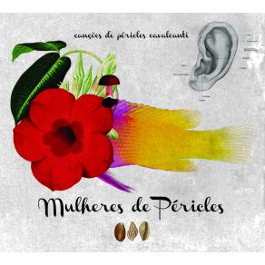 Download track Quem Nasceu Mulheres De PériclesLaura Lavieri