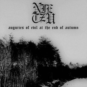 Download track Not The Worship Of Ashes Nietzu