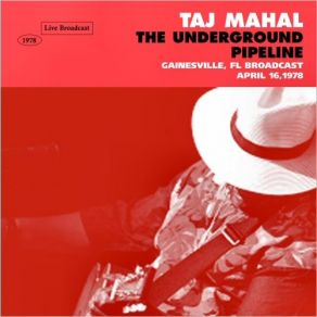 Download track I Wish I Was In Houston Blues (Live) Taj Mahal