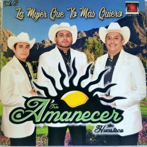 Download track Sabes Trio Amanecer Huasteco