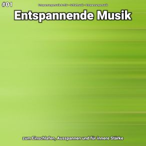 Download track Entspannende Musik Teil 47 Entspannungsmusik