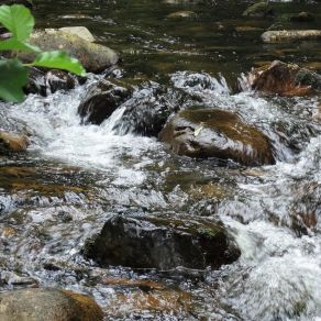 Download track Gentle Water Stream Sounds Of Nature Deluxe