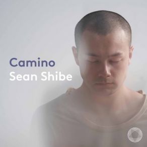 Download track Suite Compostelana: V. Canción Camino, Sean Shibe