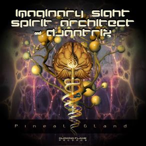 Download track Pineal Gland Spirit Architect, Imaginary Sight, Djantrix