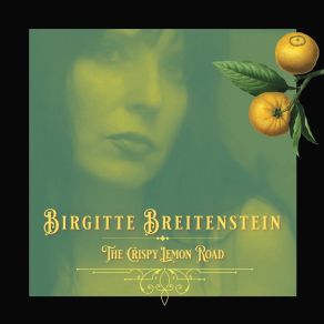 Download track Laughing Flamingos Birgitte Breitenstein