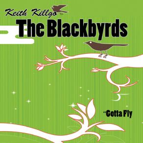 Download track Someday We'Ll All Be Free The Blackbyrds